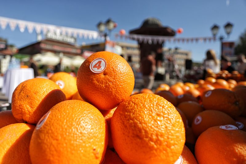 Orange Fest u Novom Pazaru — fotografija 1